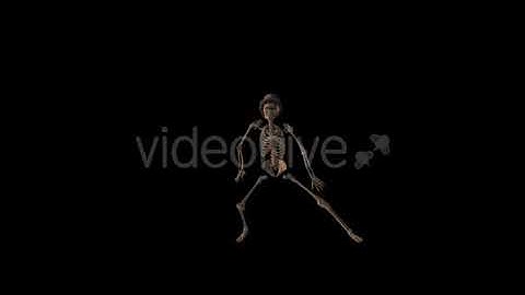 Old Pop Music And Skeleton | Motion Graphics - Envato elements