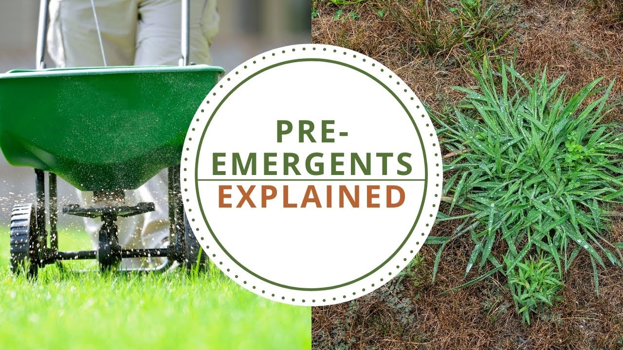 How & Why to apply preemergent YouTube