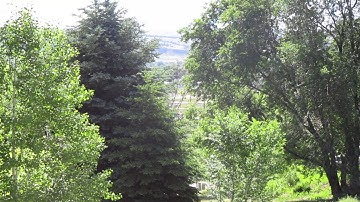 MVI 0558  Just a test