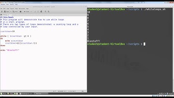 Week 7 - While Loops
