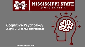 Chapter 2 -  Cognitive Neuroscience