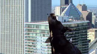 Dogzilla YT