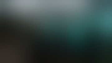 Zombie outbreak 3 Dark Forest