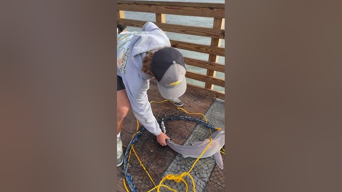 How to use a Bridge Net on a Fishing Pier 