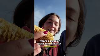 Different Types Of Corn #farming #corn #johndeere