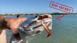 Simple Saltwater Fishing Techniques - Catch More Fish on SWIMBAITS