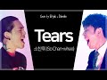 소찬휘 (So Chan-whee) - Tears - Cover by E Hyuk TV & Djentlex