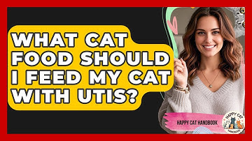 What Cat Food Should I Feed My Cat With UTIs? - Happy Cat Handbook