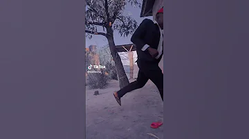 Kicheche Mbwa Mimi 