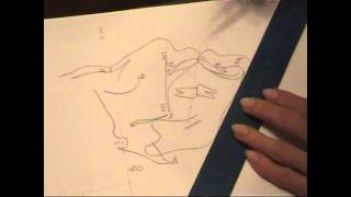:  . Cephalometric landmarks
