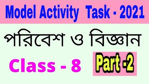 Model activity task class 8 science part 2