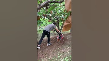 Mini Tiller Machine in Action | Powerful Farming Tool for Easy Soil Preparation part 766