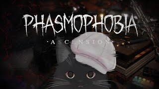 【Phasmophobia】インサニ連続特定【4連続中～】