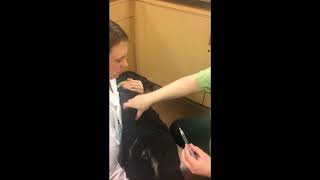 VETT 220 task 36 redo