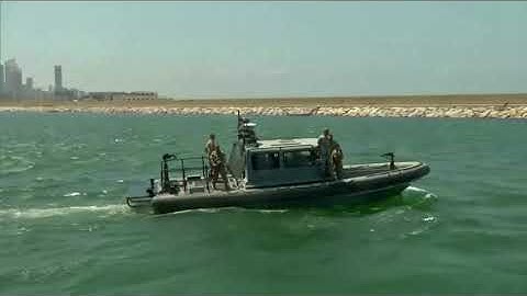 Interpol asked to arrest Beirut blast ship captain