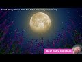 Songs to put a Baby to Sleep ♥ Sleepy Rivers Lullaby ♥ Baby Sleep Music ♥ Bedtime Lullabies