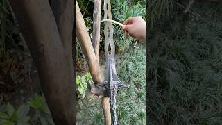 Life-size sacred relic sword metal replica #eldenring #games #sword #unboxing
