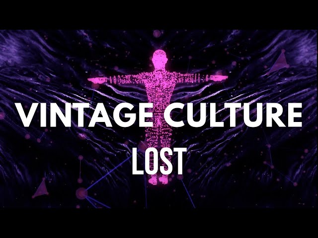 Frank Ocean - Lost [Vintage Culture Remix] Visualizer - YouTube
