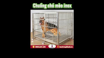 Làm chuồng chó mèo inox các mẫu theo cầu rẻ đẹp chất lượng LH 0904.627.195