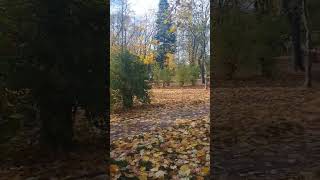 Щоб щодня вас осінь цілувала....