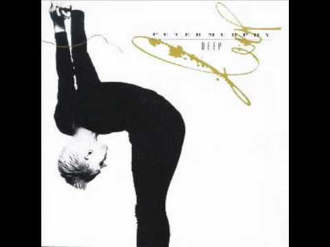 Peter Murphy- Shy