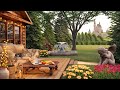 Cozy spring garden ambience with fountain vineyard and nature sounds  for sleep and relaxation