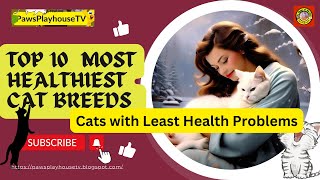 Top 10 the Most Healthiest Cat Breeds with Least Health Problems by PawsPlayhouseTV 76k Subscriber 1.3 M views  13 views 3 months ago 8 minutes, 47 seconds