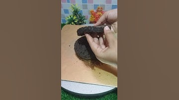 How to cut perfect cake layers #cakes #shorts #youtubeshorts