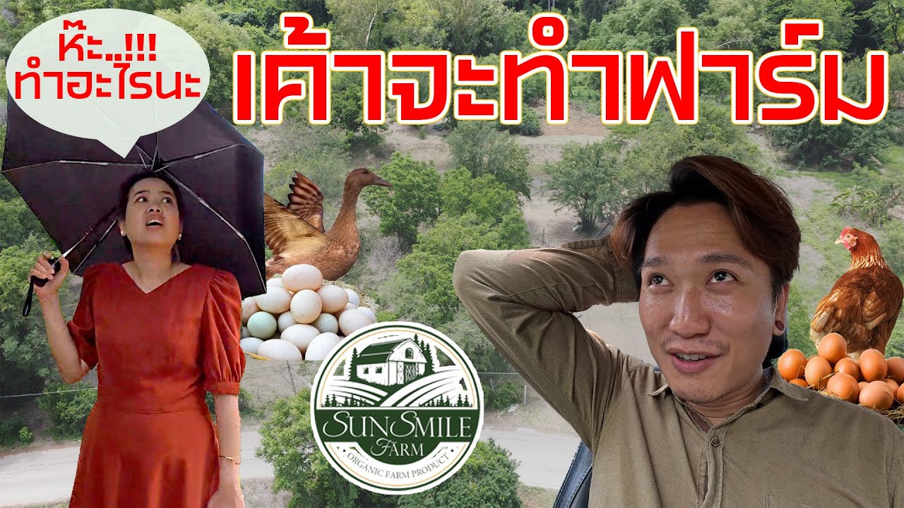 Sun Smile Farm : EP01 เค้าจะทำฟาร์ม....!!!!! เธอว่าไง..? #farm #ฟาร์มไก่ #ฟาร์มปลา