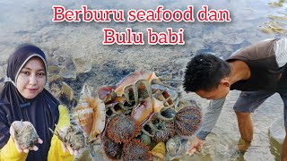 BERBURU SEAFOOD DAN BULU BABI