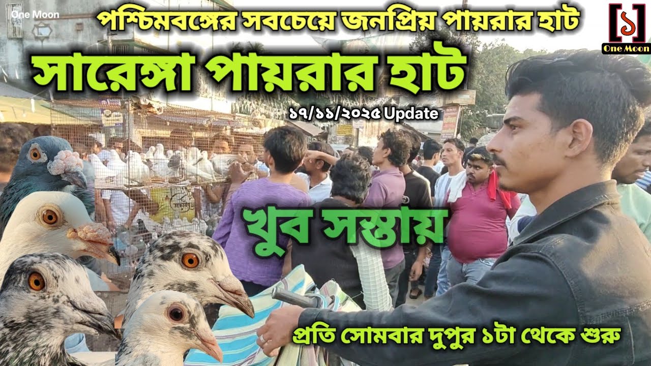 সারেঙ্গা পায়রার হাট | Cheapest Pet Market In Kolkata | Sarenga Pigeon Market @OneMoon1 