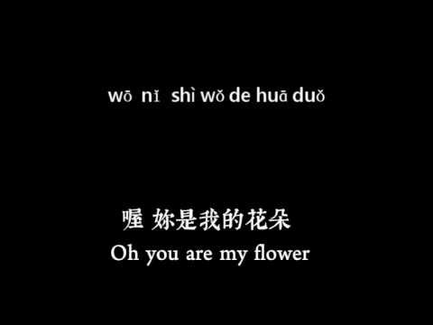 Transition前進樂團 cover 伍佰 - 妳是我的花朵 You are my Flower by 500