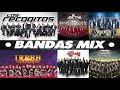 BANDA MIX [Pura Banda Alterada Pa' Pistear] Los Recoditos _La Adictiva _El Recodo_ Banda San Juan Mp3 Song