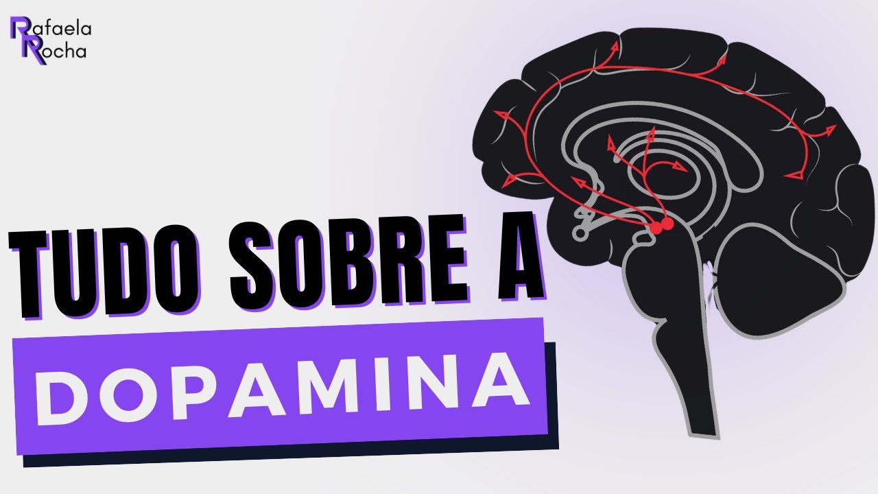 Circuitos e funções da DOPAMINA