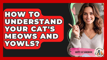 How To Understand Your Cat
