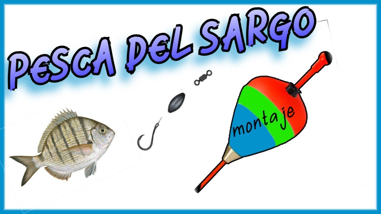 montaje pesca del sargo a boya