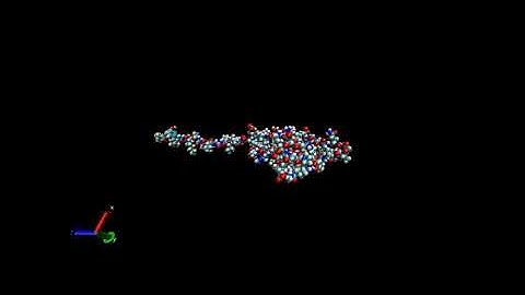 Protein Folding Simulation