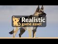 Animx german shepherd  game asset trailer