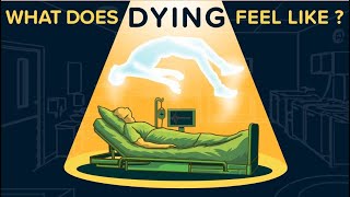 How to Recognize a Dying Patient? Signs of Approaching Death, The Process of Death and Dying