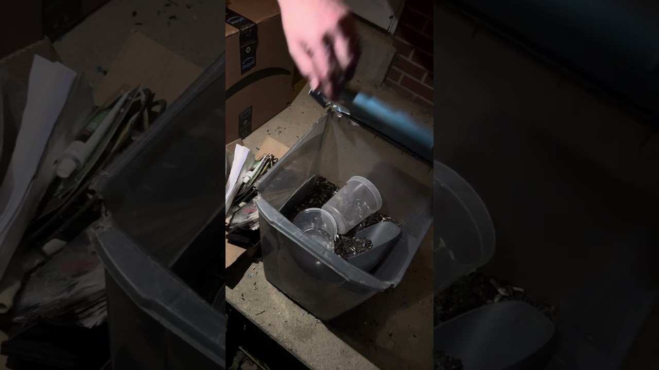 You never know what you might find in your seed bucket…