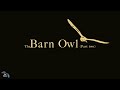 The Barn Owl (Part two)