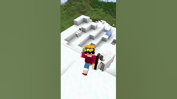 Bored? Join the BEST BEDROCK SMP! (1.21)