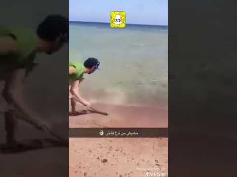 مسطول بيمسح البحر بمساحه