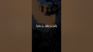 تـِلاوة مِـن سُـورة الرعد | القارئ :  رعد الكردي