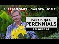 Perennials 2 | Companion Planting | Q&A: Garden Home Vlog (2019) 4K