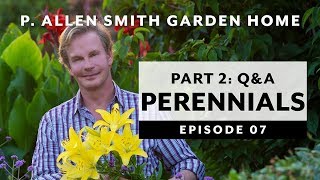 Perennials 2 | Companion Planting | Q&A: Garden Home Vlog (2019) 4K