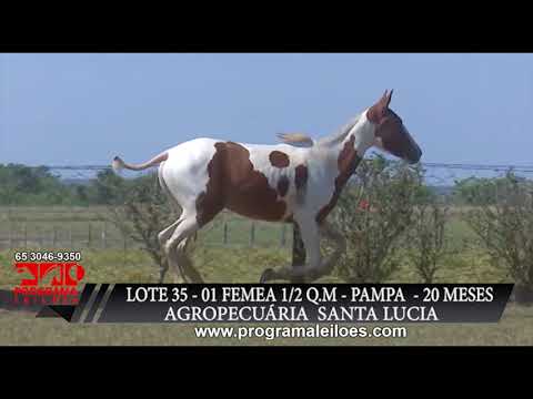 LOTE 35