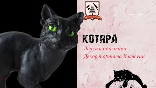 Котяра. МК по лепке