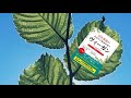 【Veganとは？】【完全菜食があなたと地球を救う ヴィーガン】