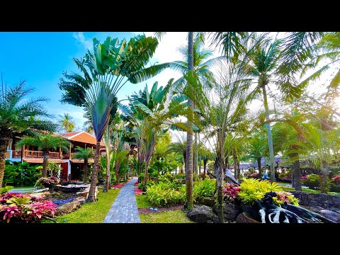 Video: Sân gôn và Khu nghỉ dưỡng ở Bãi biển Tây Palm